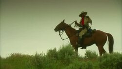 General Custer riding horse before stopping and looking through binoculars Stock Footage