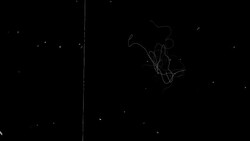 Old Film Effect | Loopable Stock Footage