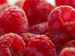 Berries raspberry Stock Footage