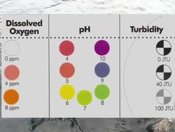How to Test pH Levels in Water for Aquatic Wildlife Health Instructional Video