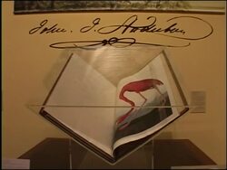 New York Historical Society presents newly discovered Audubon art News Clip