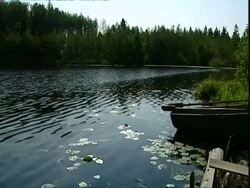 Lake, fringed with trees, small wooden boat at edge, Russia Stock Footage