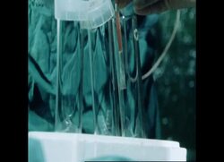 RR7913B UK FARMING - CATTLE IN THE CAN News Clip