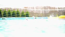 People playing vollebay in swimming pool and having beers. Stock Footage