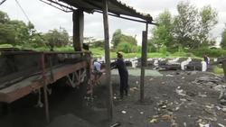 Kenyan children use slingshots to plant trees, fight deforestation News Clip