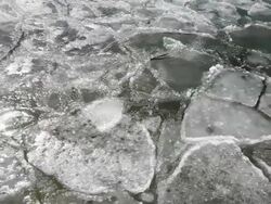 Ice in the water surfce Stock Footage