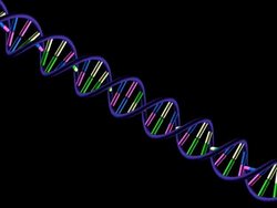 Telomere Part 1 - on black background Stock Footage