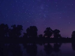 The night sky over trees and lake Stock Footage