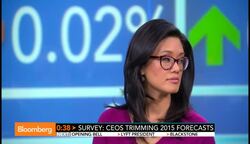 CEOs Are Trimming 2015 Forecasts: Survey News Clip