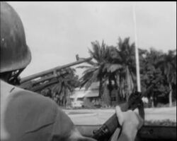 THE MASSACRE OF STANLEYVILLE News Clip