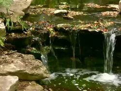 HD 1080i Stream over Rocks with Leaves 4 Stock Footage