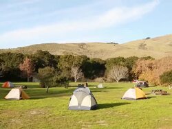 A group of tents set up in Andrew Molera State Park on a sunny day in Big Sur. Stock Footage