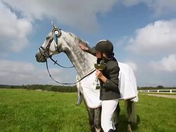Woman Equestrian Celebrating with Trophy in Hand Stock Footage