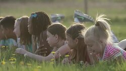 Enjoying the Sunshine Stock Footage