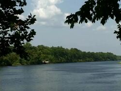 River Flowing in frame of trees Stock Footage