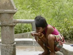 Thirsty Stock Footage