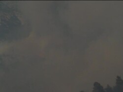 Forest fire contained after threatening homes at two Athens suburbs News Clip