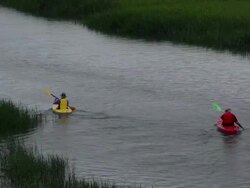 Men Paddling on Inland Waterway Stock Footage