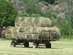 MS Trolley loaded with hay bales / Saarburg, Rhineland Palatinate, Germany Stock Footage