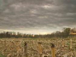 HD Motion Time-Lapse: Cloudscape Over Corn Stubble Stock Footage