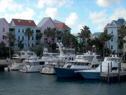Bahamas Marina Stock Footage