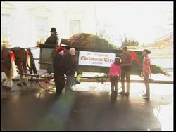 Michelle Obama welcomes the White House Christmas tree News Clip
