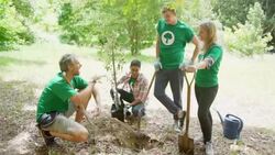 Environmentalist volunteers digging hole and planting tree Stock Footage