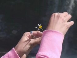 Loves me or Not? Stock Footage