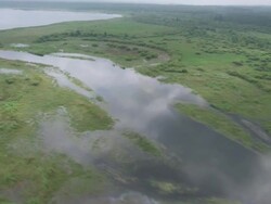 WS POV AERIAL Forest near mississippi river / Minneapolis, Minnesota, United States  Stock Footage