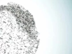 Money Wold - copy space Stock Footage