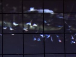 Shanghai festival showcases electronic art News Clip