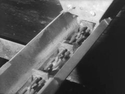 Automated chicken farm Stock Footage