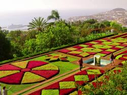 Botanical Gardens Stock Footage