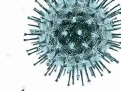 Swine flu virus particles (virions). The 2009 swine flu pandemic is caused by an H1N1 subtype of the influenza virus Stock Footage