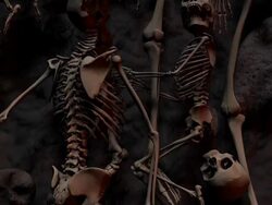 (Loop) Halloween , Massacre, Genocide Stock Footage