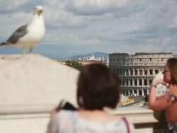 Seagulls of Rome and Coliseum Stock Footage