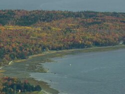 MS AERIAL ZO TU View of wooded area with autumn color at bay / Maine, United States Stock Footage