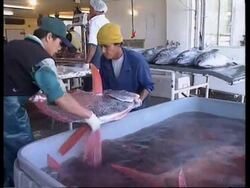 Look at state of economy as country returns to democracy News Clip