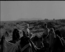 ALGERIA - CRISIS News Clip