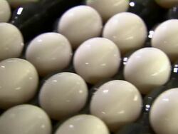 Close up of eggs on conveyor belts. Stock Footage