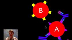 Blood Types Instructional Video