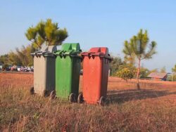 Dolly:Bins located on the lawn. Stock Footage