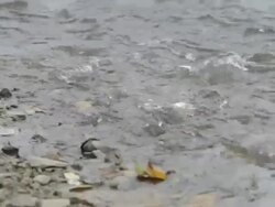 MS water flowing over rocks / Xam Neua, Laos Stock Footage