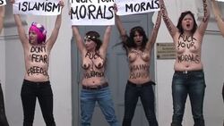 CLEAN : Topless activists protest in front News Clip