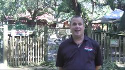 Fla. Alligator Farm Briefly Closed after Matthew News Clip