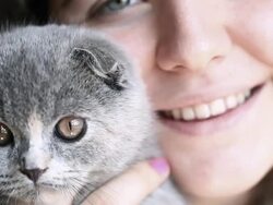 HD: Kitten and Beautiful Girl Stock Footage