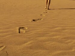 Footprints on the sand Stock Footage