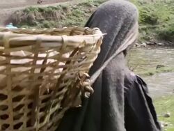 MS POV Collectors of sex herb walking to mountain / Durma, Banke District, Nepal Stock Footage