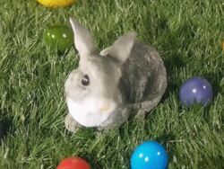Bunny surrounded with Easter eggs Stock Footage