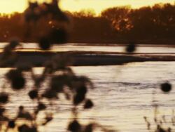 Rack focus from dried autumn foliage to the quiet flowing Platte River; a golden evening. Stock Footage